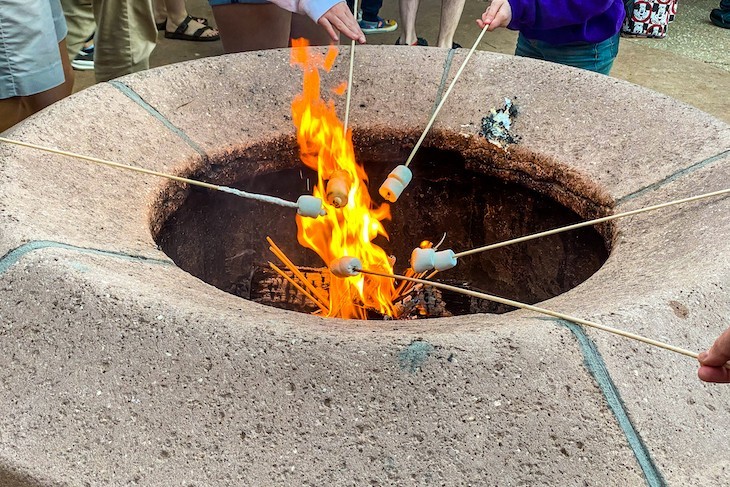 Marshmallow roasting overlooking the savanna