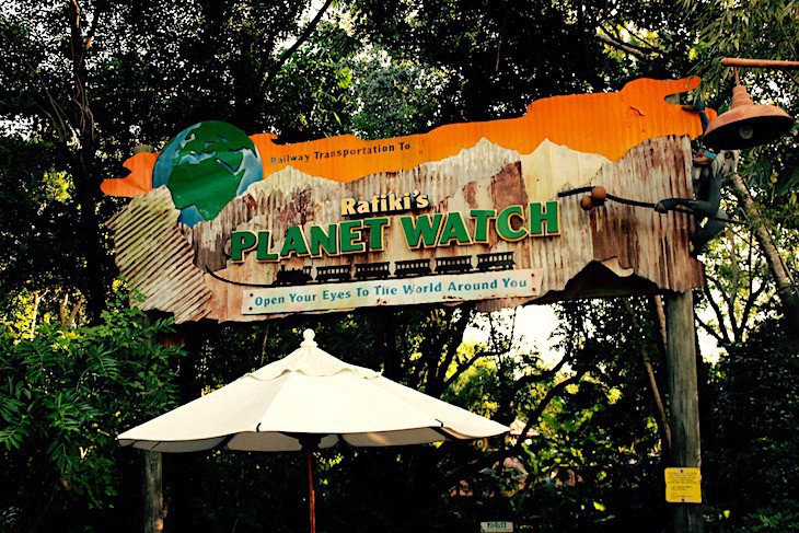 Take a train to Rafiki's Planet Watch