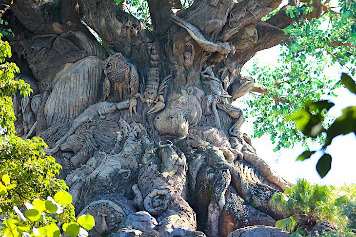 Tree of Life® detail