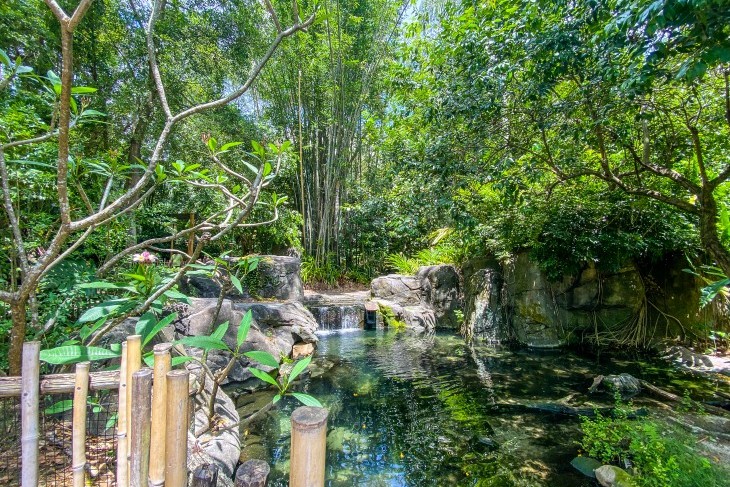 The perfect welcome to Disney's Animal Kingdom