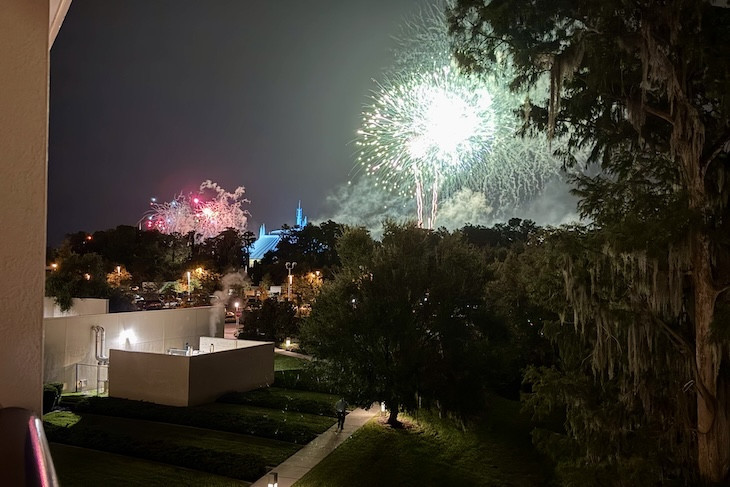 Fireworks View