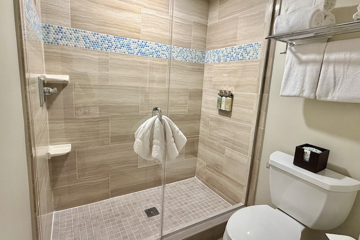 Garden Room Primary Bath