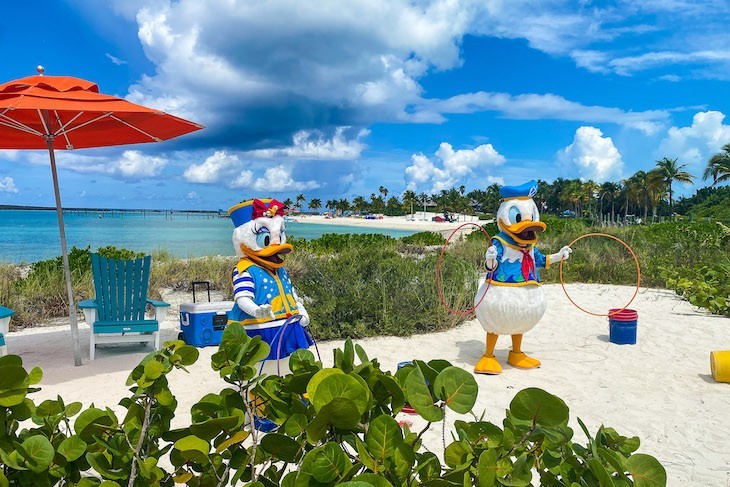 You'll meet all kinds of friends on Castaway Cay