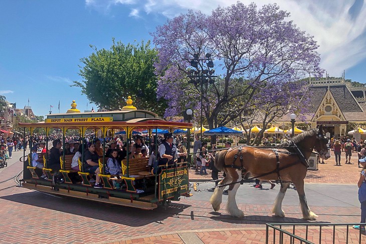 Horse drawn trolley transports guests down Main Street U.S.A.