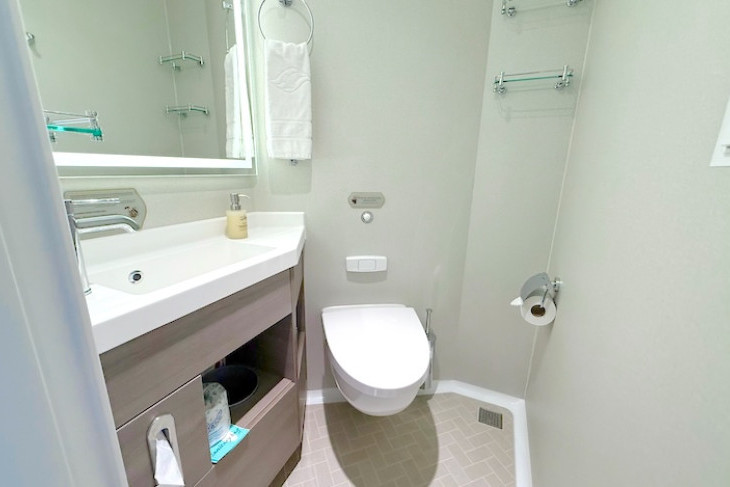 Deluxe Oceanview Stateroom with Verandah split bath