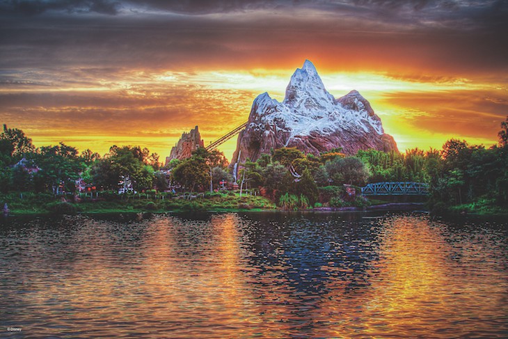 Expedition Everest® Attraction