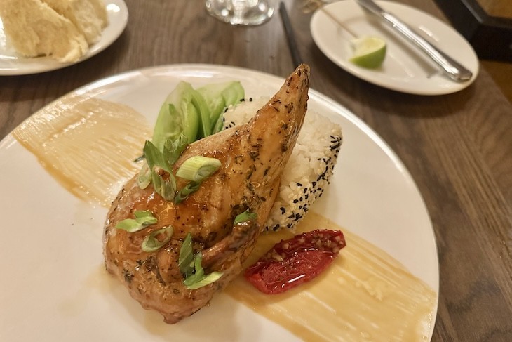 Asian-marinated Airline Chicken