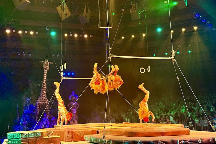 Festival of the Lion King