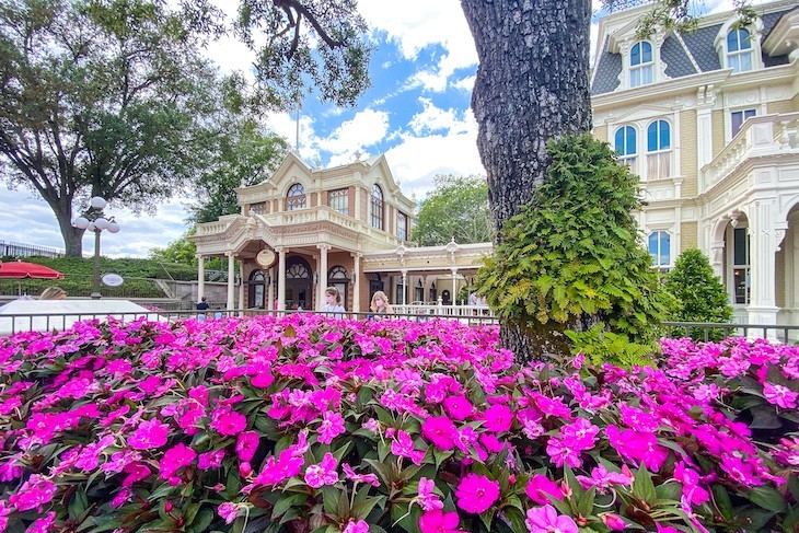 Flowers in bloom on Main Street U.S.A.