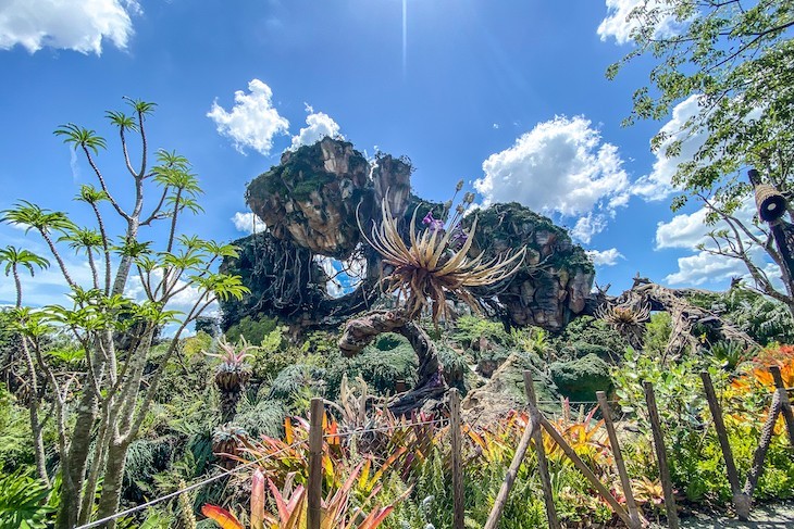 Something stunning around every corner in Pandora