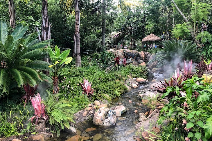 Flora and fauna in Pandora Land