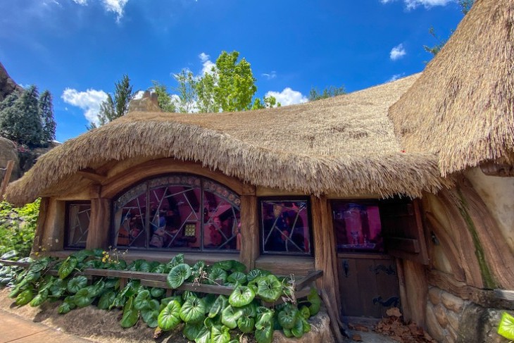 Seven Dwarfs Mine Train scenery