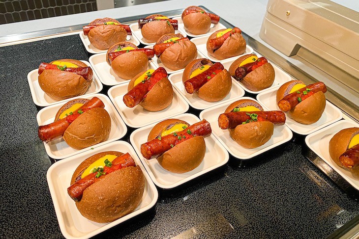 Galactic Dogs