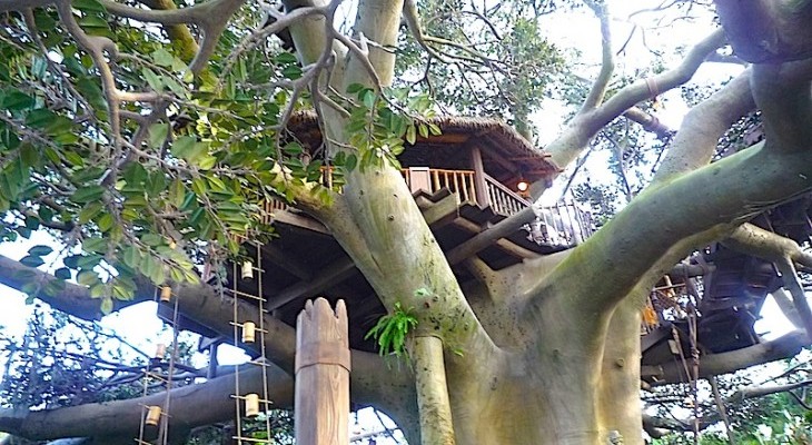 Swiss_Family_Treehouse