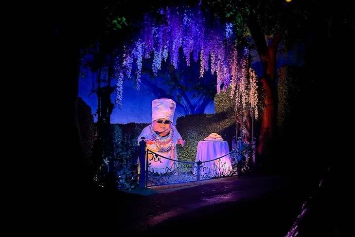 Tiana's Bayou Adventure