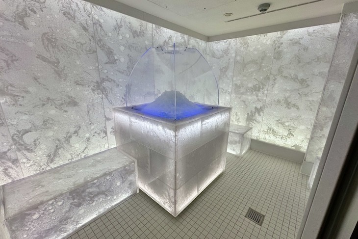 How about this Frigidarium at Senses Spa? 