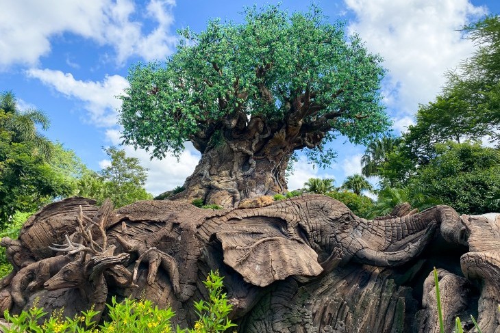 Tree of Life® Attraction